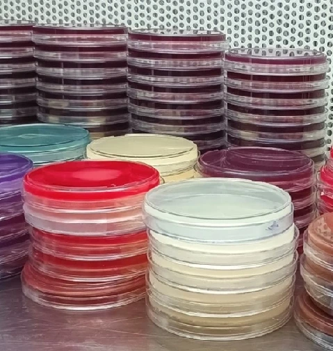 Ready-to-Use Media Plates