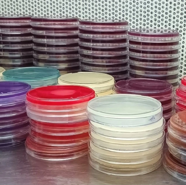 Manufacturing Facility